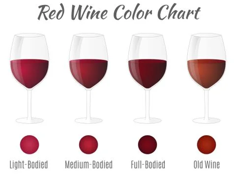 Red wine color chart. Hand drawn wine glasses. Vector concept. Stock Illustration