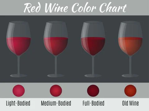 Red wine color chart. Stock Illustration
