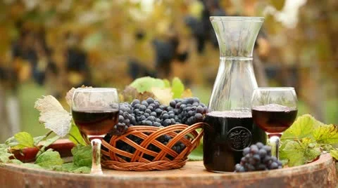 Red wine Stock Footage 24651531
