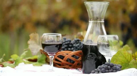 Red wine Stock Footage 24651540