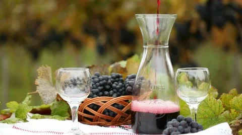 Red wine Stock Footage 24651573