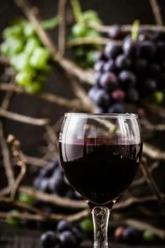 Red wine with grapes Stock Photos