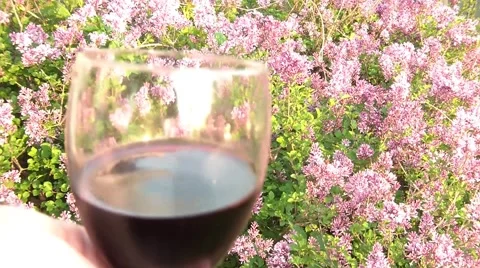 Red Wine with Lilac Stock Footage 66064299