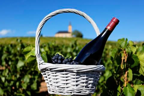 Red wine Stock Photos