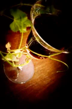 Red wine Stock Photos