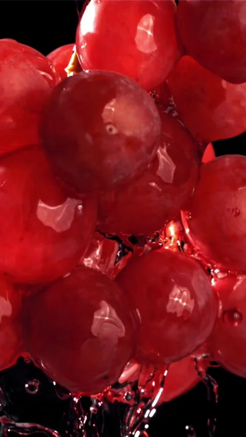 Red wine runs down a branch of a grape. Filmed on a high-speed camera at 1000 Stock Footage 335303653