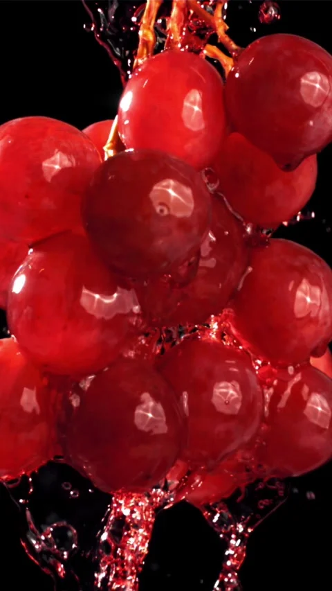 Red wine runs down a branch of a grape. Filmed on a high-speed camera at 1000 Stock Footage 335311813