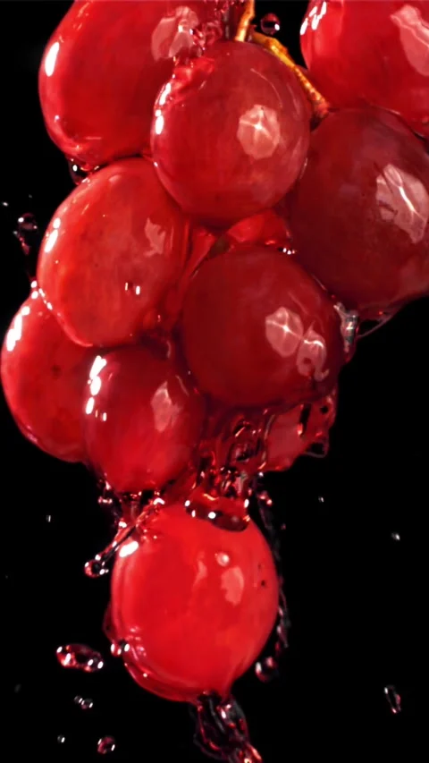 Red wine runs down a branch of a grape. Filmed on a high-speed camera at 1000 Stock Footage 335312765