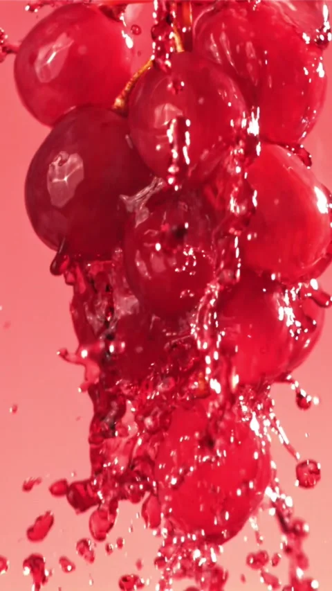 Red wine runs down a branch of a grape. Filmed on a high-speed camera at 1000 Stock Footage 335313318