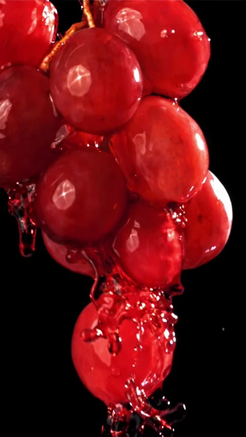Red wine runs down a branch of a grape. Filmed on a high-speed camera at 1000 Stock Footage 335321559