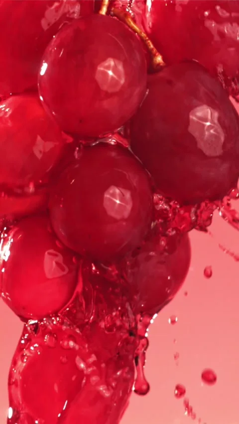 Red wine runs down a branch of a grape. Filmed on a high-speed camera at 1000 Stock Footage 335321578