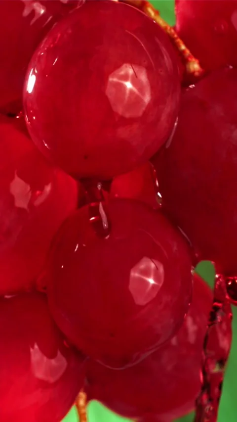 Red wine runs down a branch of a grape. Filmed on a high-speed camera at 1000 Stock Footage 335321919