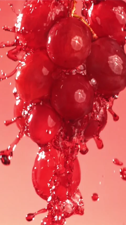 Red wine runs down a branch of a grape. Filmed on a high-speed camera at 1000 Stock Footage 335323375
