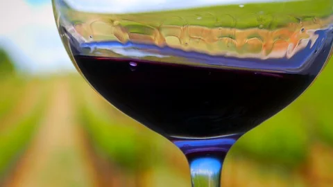 Red Wine Swirl Video stock 95957809