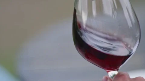 Red Wine Swirling Vídeos de archivo 82551292