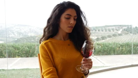 Red wine tasting Stock Footage 96996847