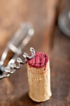 Red wine tasting Stock Photos