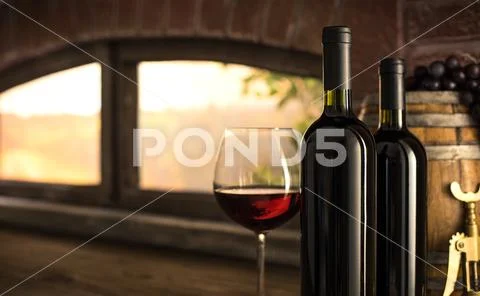Red wine tasting in the winery cellar Stock Photos