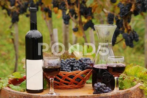 Red wine wineglasses and bottles.JPG Stock Photos