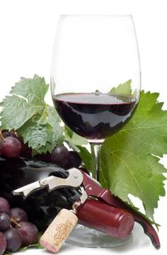 Red wine world. Stock Photos
