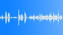Red-winged starlings callingSound Effect