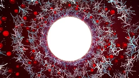 Red winter berrys, silver branches on royal red background and logo place Stock Footage 83066528