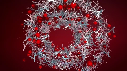 Red winter berrys, silver branches on royal red background, Happy New Year Stock Footage 83066533