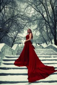 Red winter Foto stock