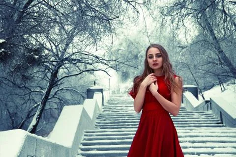 Red winter Foto stock