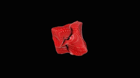 Red wireframe abstraction on black background Video stock 239516765