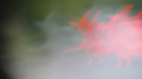 The red witch light on a halloween night in Estonia Stock Footage 160191953