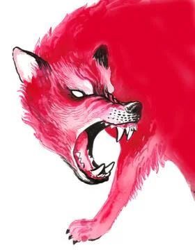 Red wolf Illustrazione stock