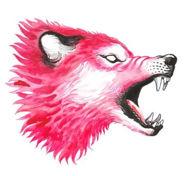 Red wolf Stock Illustration