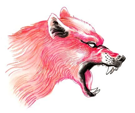 Red wolf Illustrazione stock