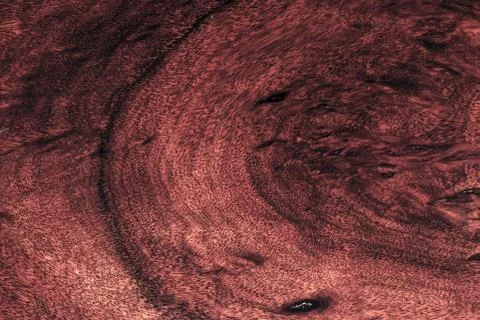 Red wood pattern of the surface Stock Photos