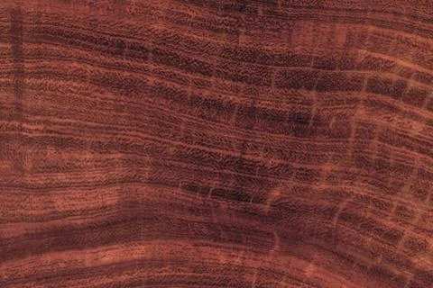 Red wood pattern of the surface Stock Photos