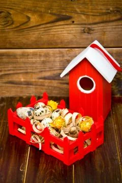 Red wooden bird house with quail eggs and shavings. Focus on eggs and flowers Stock Photos