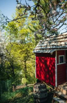 Red wooden playing hut for children with blooming apple trees in the garden i Stock Photos