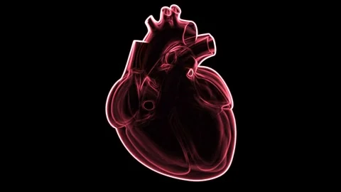 Red x-ray style human heart beating Stock Footage 320515692