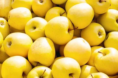 Red, yellow apples in large quantities as a background Stock Photos