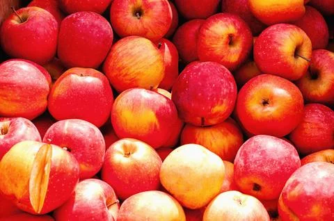 Red, yellow apples in large quantities as a background Stock Photos