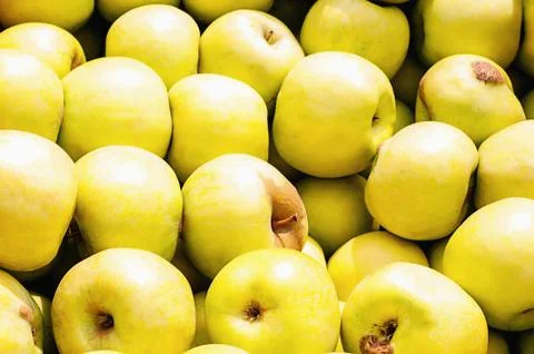 Red, yellow apples in large quantities as a background Stock Photos