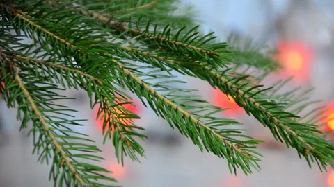 Red yellow blue and orange holiday bokeh. Abstract Christmas background 스톡 동영상 142901981