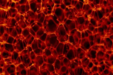 Red yellow, cellular structure  polyurethane,  red-hot, metal Stock Photos