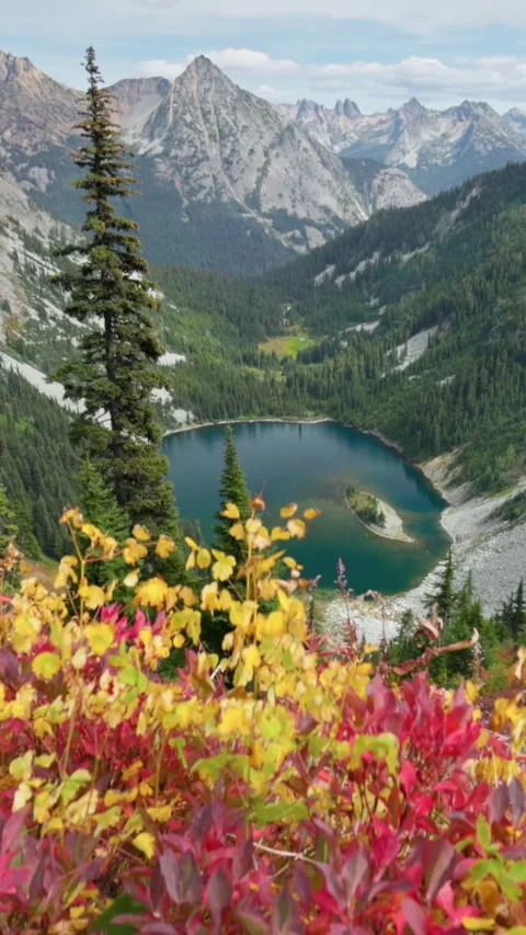 Red-yellow leaves on the background of the mighty mountain peaks. Mountains and Stock Footage 273208789
