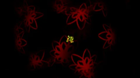 Red yellow spider galore Stock Footage 4884546