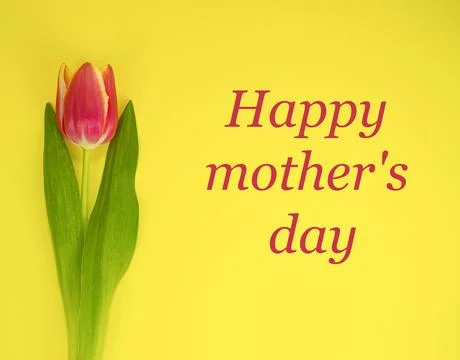 Red-yellow tulip on a yellow background and text HAPPY MOTHER'S DAY. Stock Photos