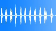 RedBreasted Flycatcher CU Song Sound Effect