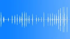 RedBreasted Flycatcher CUMcu SongSound Effect