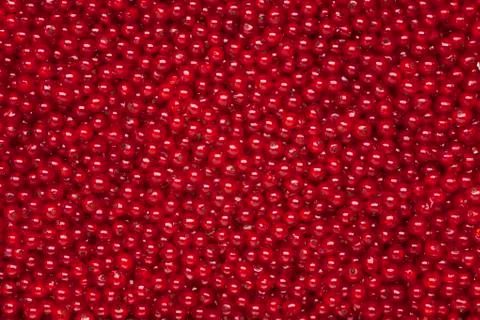 Redcurrant background Stock Photos